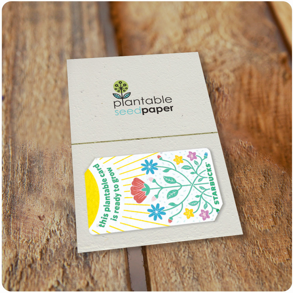 Gift Card Holders plantableseedpaper Gift Card Holders plantableseedpaper