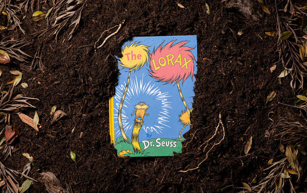 Book with seeds that grows surrounded by dirt