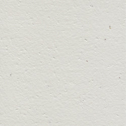 A4- Plantable Wildflower Seeds Paper 200gsm (Pack 10)