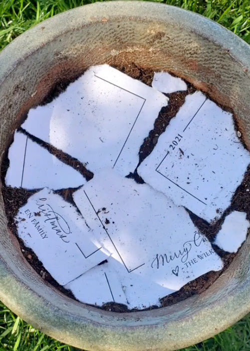 torn up seeded holiday card inside plant pot