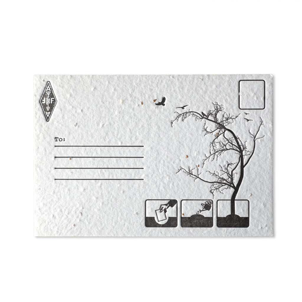 medium letterpressed postcard plantable seed paper handmade