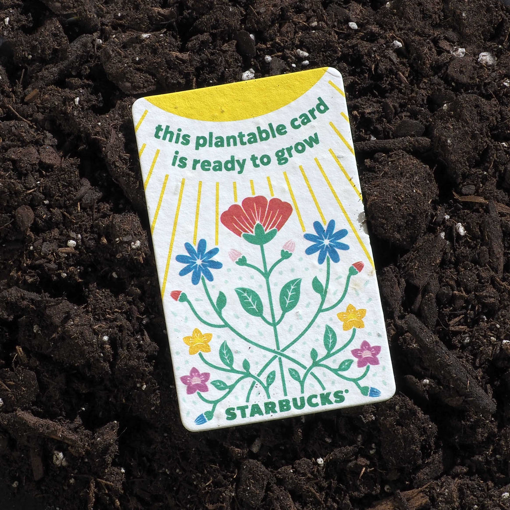 Close up of seeded handmade starbucks gift card on top of soil