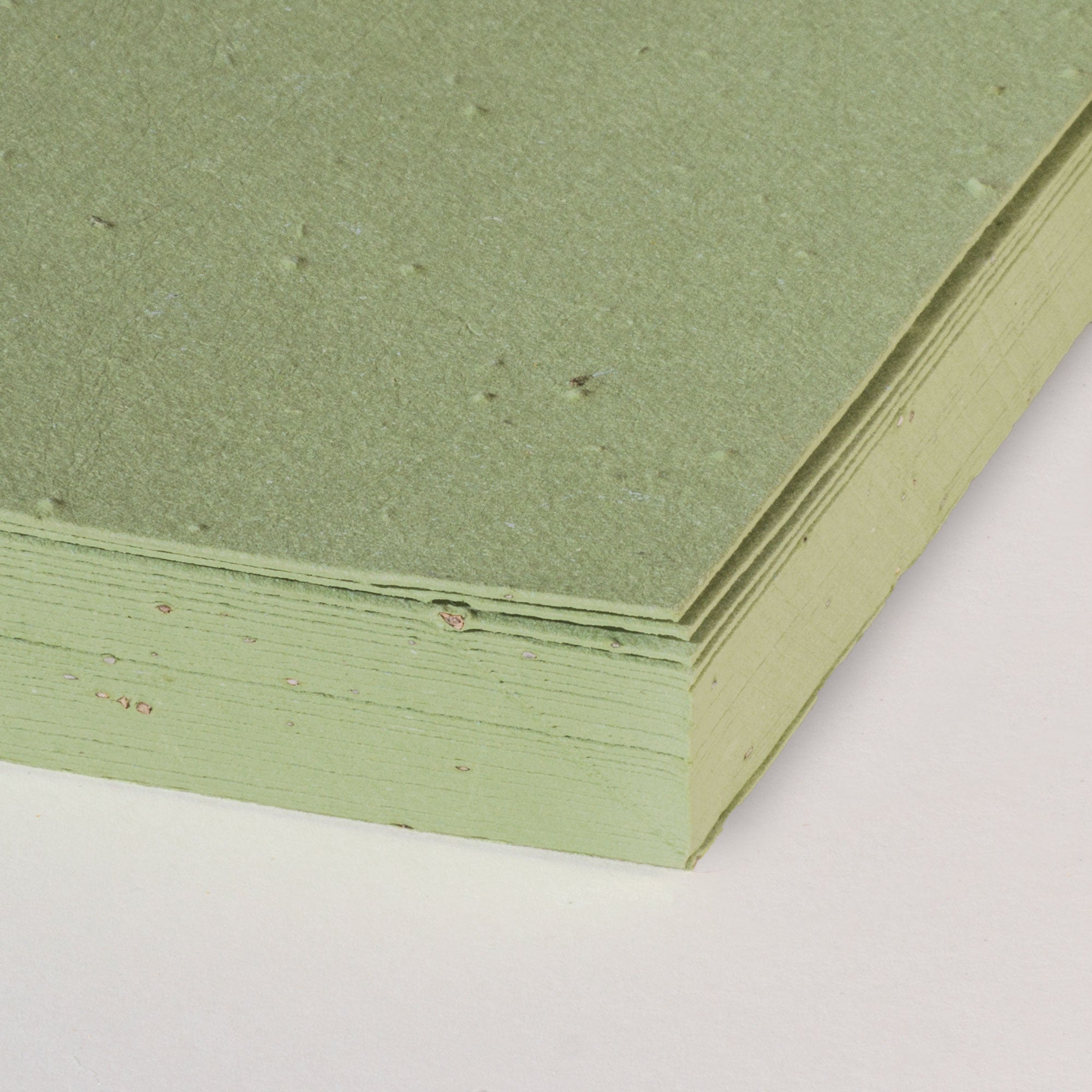 wildflower seeded paper Plantable Seed Paper