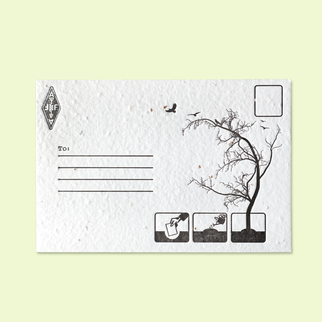 medium letterpressed postcard plantable seed paper handmade